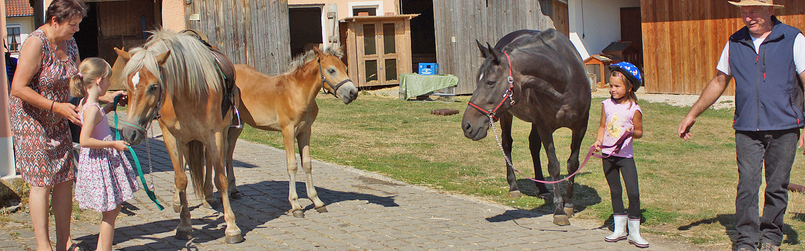 Kinder lieben  Pferde 